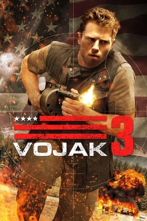 Poster Vojak 3 2013