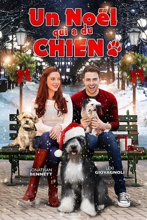 Poster Un Noël qui a du chien 2015