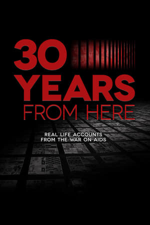 Poster 30 Years from Here 2011