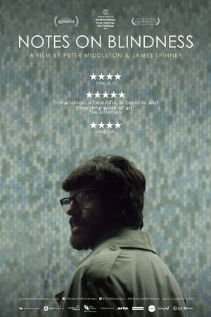 Notes on Blindness 2016