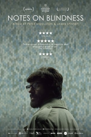 Image Notes on Blindness