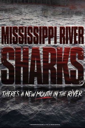 Image Mississippi River Sharks