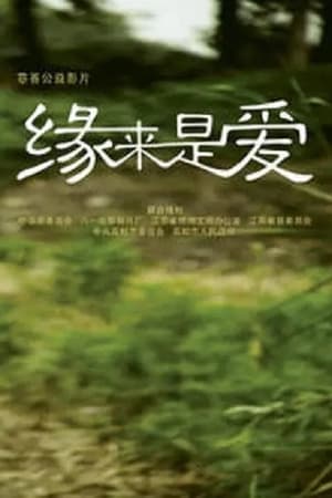 Poster 缘来是爱 2009