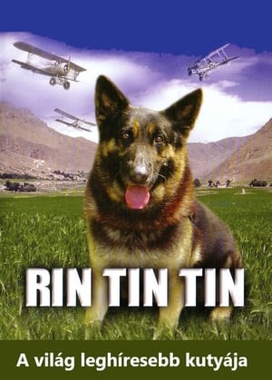 Image Rin Tin Tin
