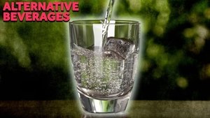 What Was The First Beverage We Drank After Water?