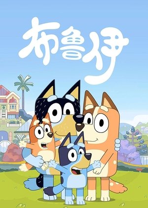 Image 布鲁伊