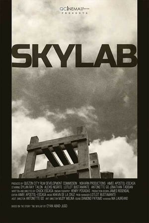 Poster Skylab (2021)