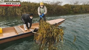 Journeys in Japan: 14×6