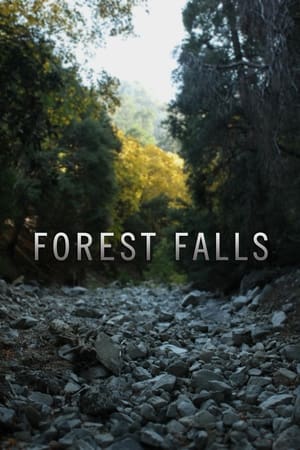 Poster Forest Falls (2011)