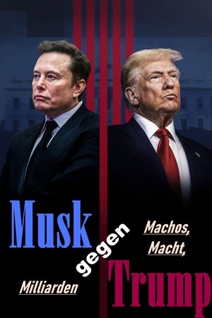 Image Musk gegen Trump