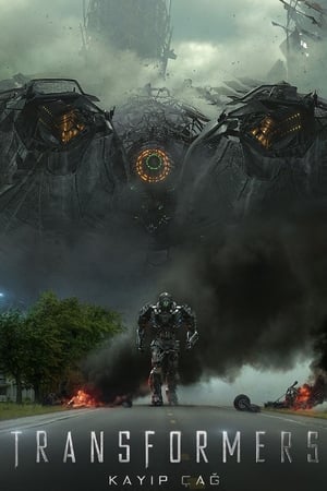 Poster Transformers: Kayıp Çağ 2014