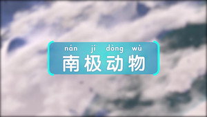 Episódio 4 - 斑马百科MINI百科