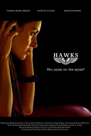 Poster Hawks ()