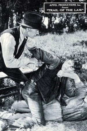 Poster The Trail of the Law (1924)