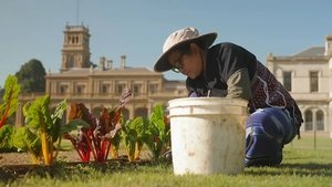 Episode 36 Spring: Native plant design and rental tips