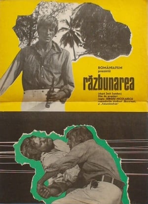 Poster The Revenge 1973