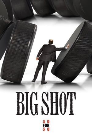 Poster Big Shot 2013