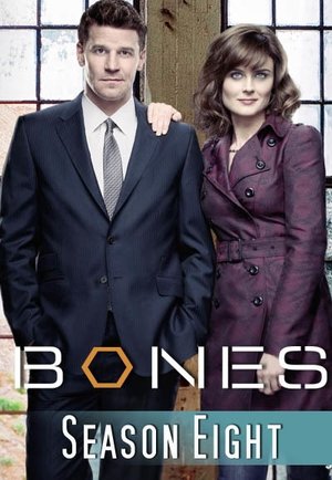 Temporada 8