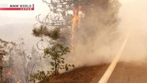 Humans vs. Wildfires