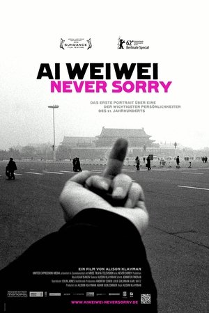 Image Ai Weiwei: Never Sorry