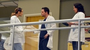 Grey’s Anatomy S10E14