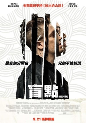 盲点 (2018)