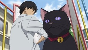 Darker Than Black: 1×11