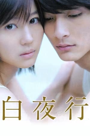 Poster 白夜行 2011