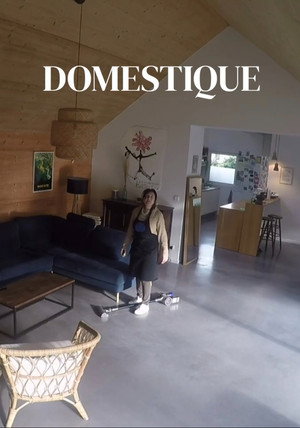 Domestique 2