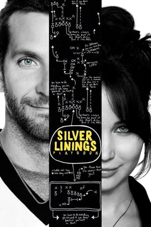 Silver Linings Playbook-Bradley Cooper