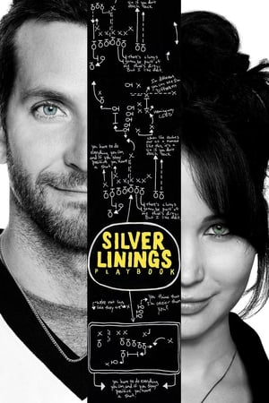 Silver Linings Playbook 2012