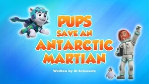 Image Pups Save an Antarctic Martian