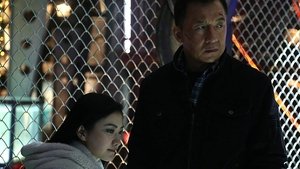 Police Story : Lockdown