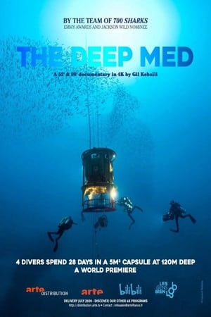 Poster The Deep Med 2020