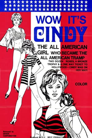 Wow, It's Cindy poster