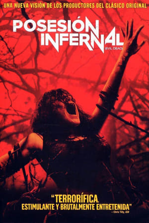 Poster Posesión infernal (Evil Dead) 2013