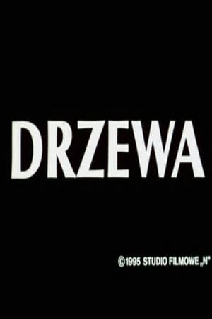 Drzewa