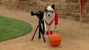 Dog with a Blog: 2×14