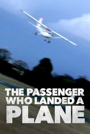 Poster Mayday: The Passenger Who Landed a Plane 2014