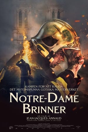 Poster Notre-Dame brûle 2022