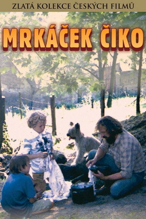 Blinker-Ciko 5