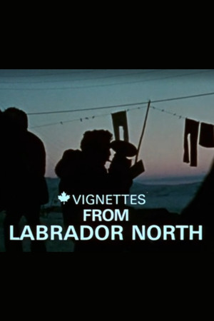 Canada Vignettes: Vignettes from Labrador North