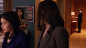 The Good Wife 2×20