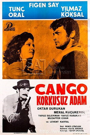 Django - Fearless Man 3