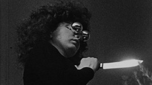 Meshes of the Afternoon