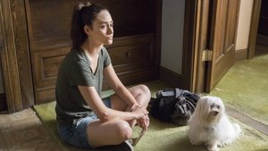 Shameless: Stagione 8 x Episodio 6