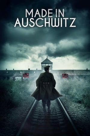 Poster Made in Auschwitz: The Untold Story of Block 10 (2019)