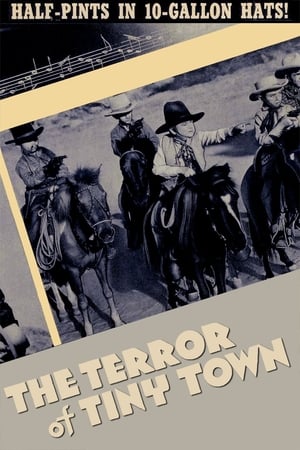 Poster The Terror of Tiny Town 1938