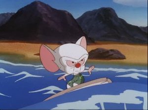 Pinky & der Brain: 3×40