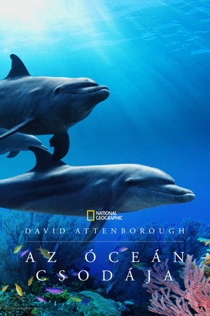 Ocean with David Attenborough 67